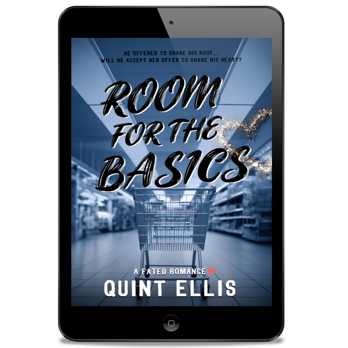 Room for the Basics (A Novel)